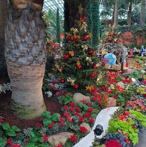 Meet your Posher, Wendy